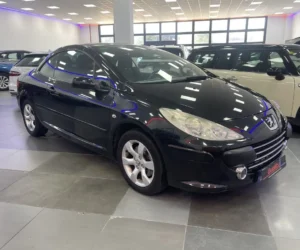 PEUGEOT 307 descapotable segunda mano